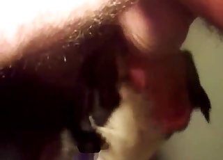 Close-up bestiality is the best kind