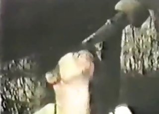 Sweet farm bestiality shot on hidden cam