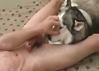Cute doggy is getting a nice load of semen