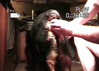 Dude fucking his dog's tight pussy