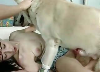 Two sexy chicks having passionate bestiality XXX