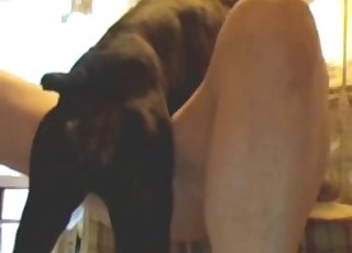 हॉर्नी ज़ूफ़ाइल का कुत्ते के साथ पहला अनुभव