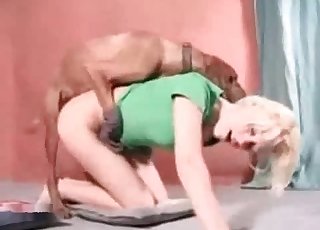 Playing with my trained dog in bedroom