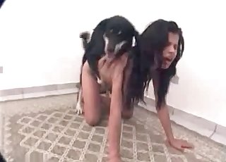 Stunning black dog fucked her wet cunt