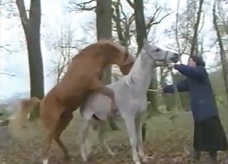 Dva žhaví hřebci v úžasné sodomii XXX