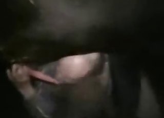 Extreme close-up sex with animals