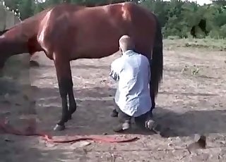 Hot guy blowing a big-dicked horse