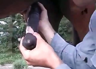 Hot guy blowing a big-dicked horse